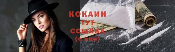 крисы Гусь-Хрустальный