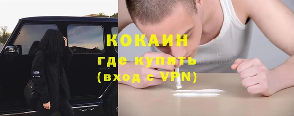 крисы Гусь-Хрустальный