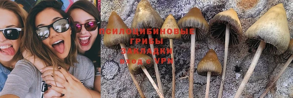 метадон Гусиноозёрск