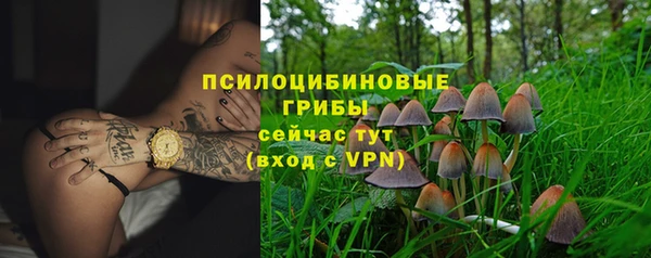 метадон Гусиноозёрск
