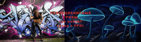крисы Гусь-Хрустальный